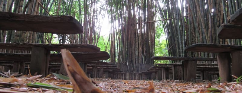 Parque Areião: aos 81 anos, pioneiro procura nova esposa