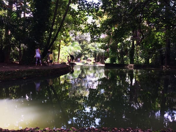 Sábado no Parque