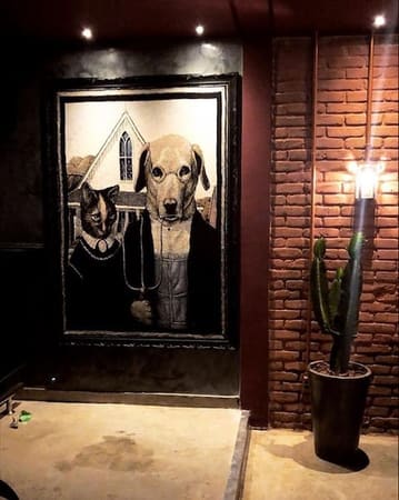 Esse aqui é um cantinho do gastrobar Cão Veio em Goiânia já compartilhado nas redes sociais | Reprodução:  @caoveio.goiania
