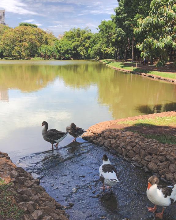 Esportes ao ar livre: onde praticar em Goiânia