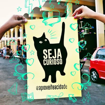 Jabuticaba, o gatinho ao Aproveite a cidade, em divulgação para a festa no Beco Pub | Foto:  Carla Falcão