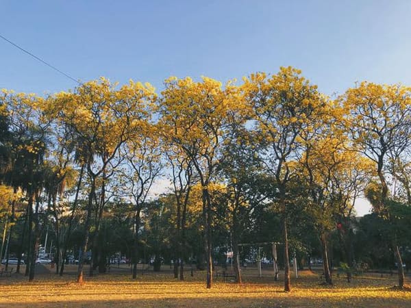 6 praças e parques no Setor Oeste que você tem que conhecer