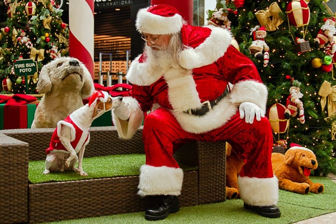 Trono Pet funciona até o dia 24 de dezembro. Assim, Papai Noel tira fotos com os pets de segunda a sábado das 10h às 22h, e aos domingos das 12h às 20h | Foto: Retratinhos Pet