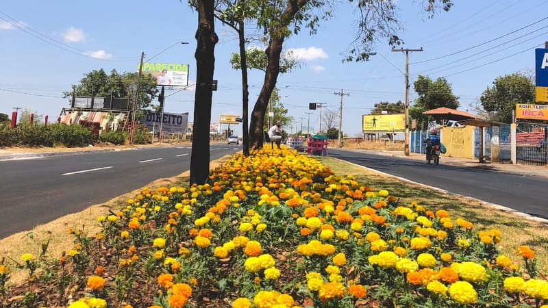 Canteiro na Avenida São Paulo, em Aparecida de Goiânia. Cidade tem ações que buscam evitar a aglomeração de pessoas | Foto: Paula Falcão
