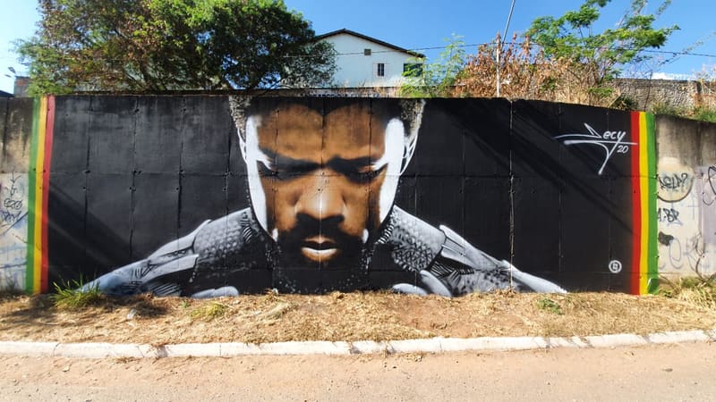 Grafite pintado por Decy fica na Marginal Botafogo, próximo a Região da 44. Arte homenageia o ator Chadwick Boseman, astro de Pantera Negra, que faleceu no mês de agosto | Foto: Carlos Freitas