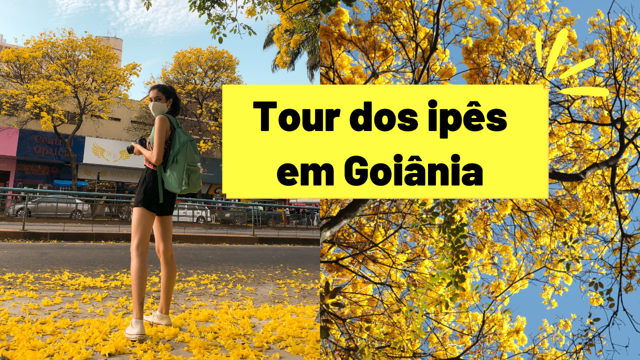 TOUR DOS IPÊS em GOIÂNIA! O passeio mais incrível de todos | Aproveite a cidade