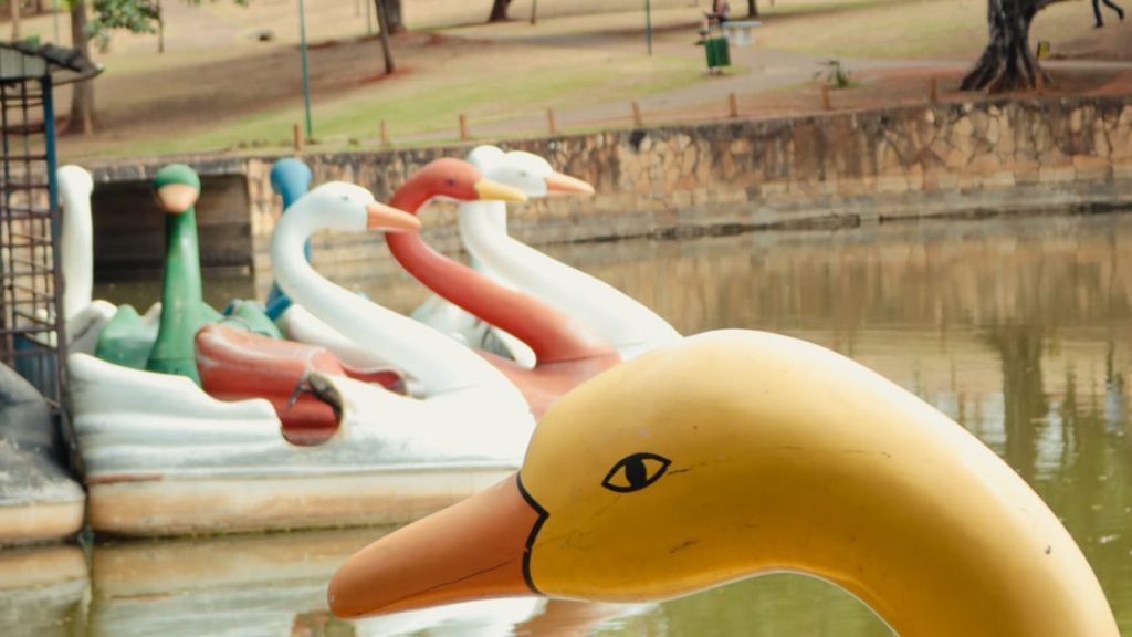 Pedalinho localizado no Parque Lago das Rosas