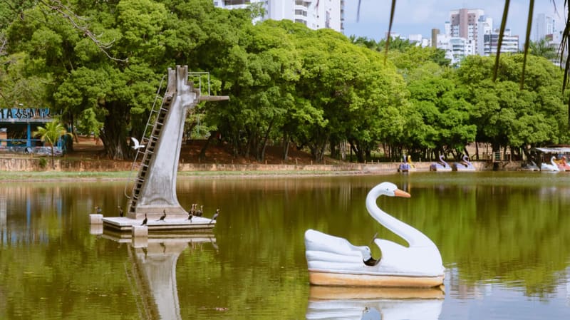 Parque Lago das Rosas é comumente chamado de Horto. Afinal, área verde já abrigou o Horto Florestal de Goiânia | Foto:  Carla Falcão