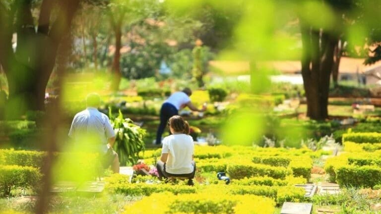 Cemitério em Goiânia. Locais poderão receber visitantes, mas será obrigatório ouso de máscara e o distanciamento mínimo 1,5 m entre as pessoas, além de outras obrigatoriedades | Foto: Site Prefeitura de Goiânia