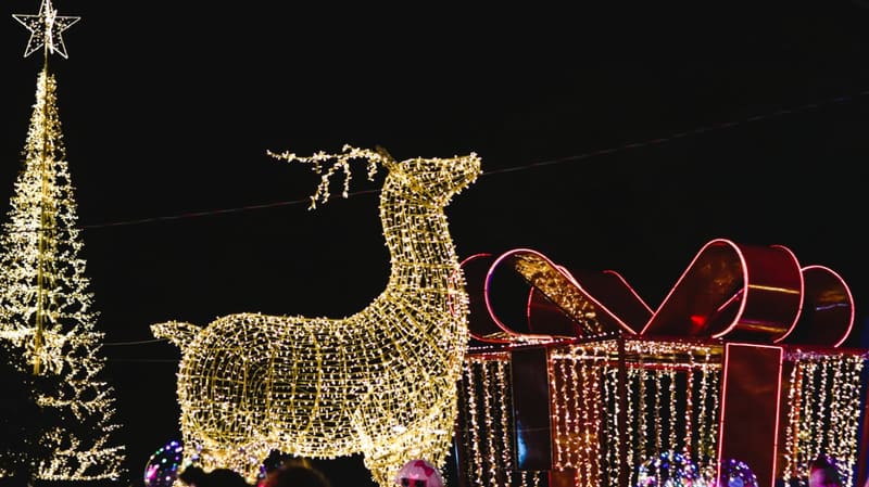 Árvore e elementos natalinos iluminados na Praça Cívica, no Centro de Goiânia. Espaço recebe o Natal do Bem | Foto:  Carla Falcão