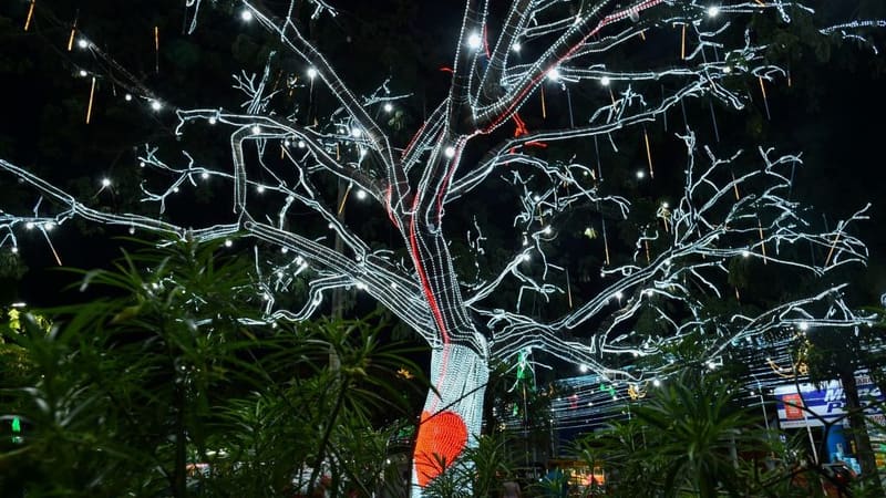 Árvore Coração, no Parque da Família, no Setor Village Garavelo. Local também recebeu  Túnel de Luz | Foto: Rodrigo Estrela/Prefeitura de Aparecida de Goiânia