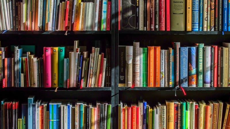 Sesc Goiás irá fazer rodas de conversa sobre literatura mundia. O projeto Pretexto - Diálogos Literários acontecerá a cada 15 dias | Foto: Pixabay