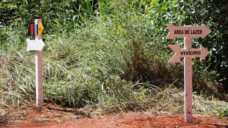 Floresta Nacional de Silvânia tem trilhas para ciclistas e também para caminhada. Local fica a pouco mais de 70 km de Goiânia | Foto: Divulgação