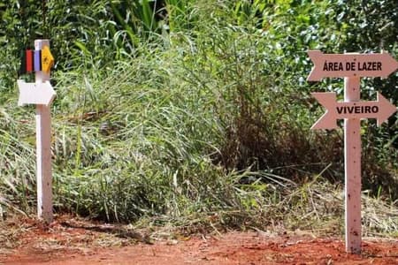 Floresta Nacional de Silvânia: um santuário de preservação do Cerrado