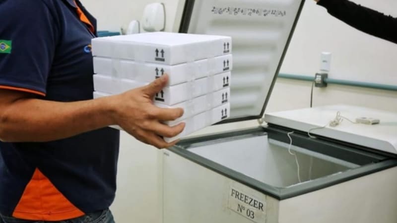 Vacinas da Pfizer na Central Estadual de Rede de Frio, da Secretaria de Saúde de Goiás, em Goiânia. No total, o Estado recebeu 17,5 mil imunizantes | Foto: André Saddi
