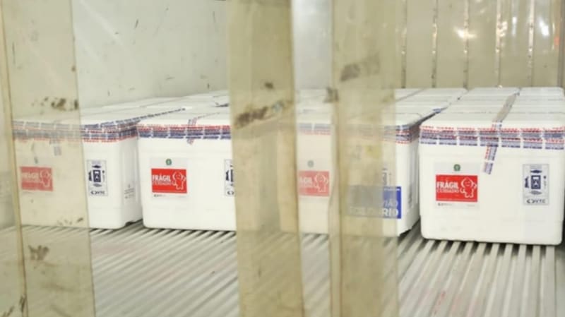 Vacinas contra a Covid-19 chegando a Goiás. Estado recebe mais duas remessas de imunizantes da Pfizer e AstraZeneca neste sábado (3/7) | Foto: André Saddi