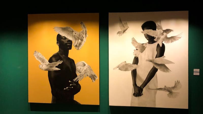 Artistas locais expõem obras na CASACOR Goiás