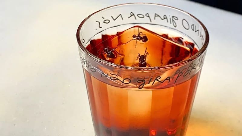 Versão do clássico drink Negroni, criada pelo Zimbro Bar, tem toques de cupuaçu e formigas amazônicas | Foto:  Assessoria