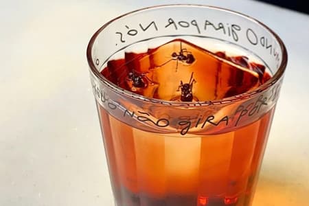 Na Negroni Week, bar de Goiânia lança drink com formiga amazônica