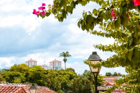 Canto da Primavera 2021 premiará artistas goianos com R$ 520 mil