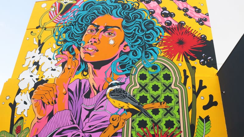 Mural criado pelos artistas Renato Reno e Douglas de Castro no Jardim Goiás. Cores e muitos elementos são característicos do duo | Foto:  Carla Falcão