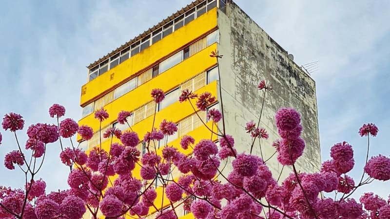Fotógrafo lança livro com imagens de Goiânia feitas na pandemia