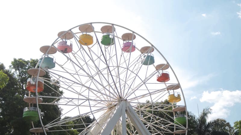 Parque Mutirama terá decoração de Natal e funcionará à noite