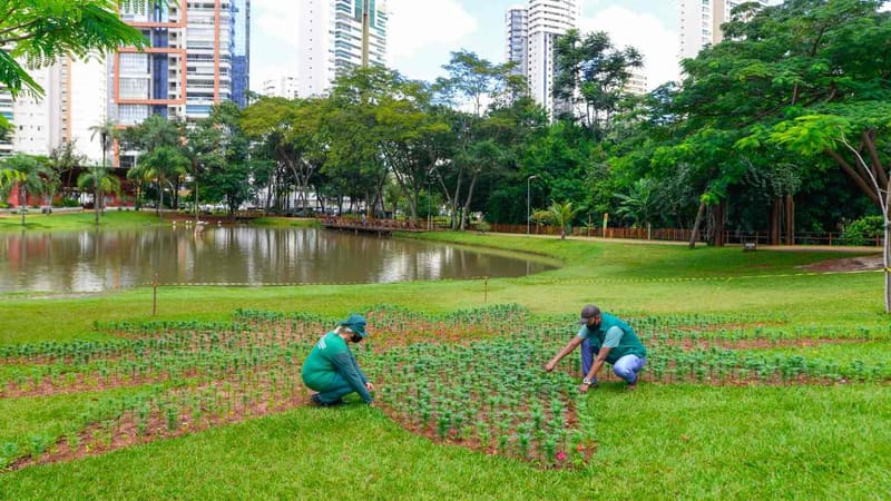 Trabalhadores da prefeitura de Goiânia durante plantio de mudas ornamentais no Parque Flamboyant | Foto: Secom