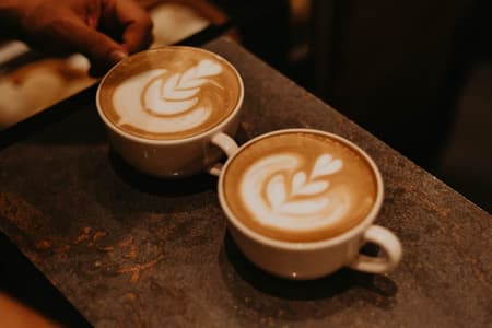 Café Fest Cerrado: Goiânia terá 2ª edição de festival de cafés especiais