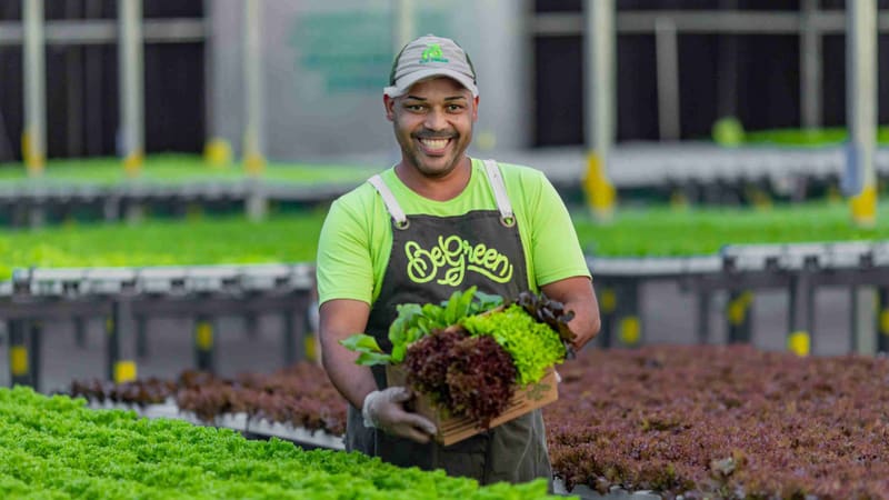 Goiânia ganha primeira Fazenda Urbana do Centro-Oeste