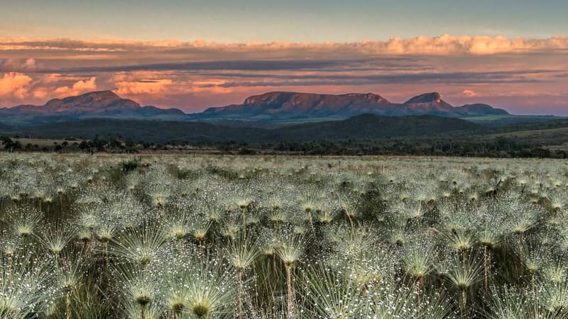 Vista do Jardim de Maytrea, na Chapada dos Veadeiros, um dos cenários preferidos pelos turistas para fotos | Foto: Goiás Turismo