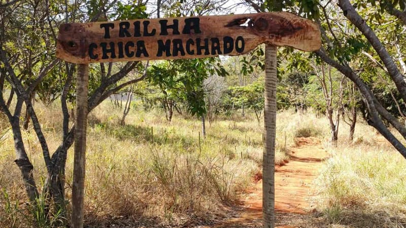 A Trilha Chica Machado tem 3km de percurso, sendo que 500 metros são de terra, com placas de sinalização, e 2,5km asfaltados | Foto: Amma