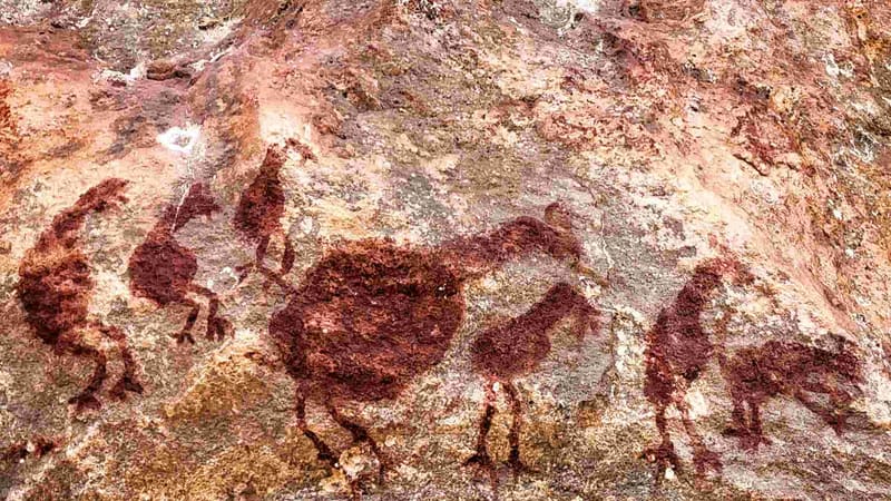 Pintura rupestre que representa Emas do Cerrado, encontrada em sítio arqueológico no município de Palestina de Goiás | Foto: Danilo Curado