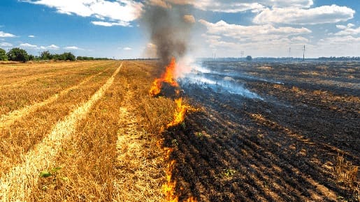 Enquanto o decreto nº 10.126 estiver em vigor fica proibido, em todo o território estadual, o uso de fogo em vegetação, ressalvados os casos expressamente autorizados pela Semad | Foto: Divulgação