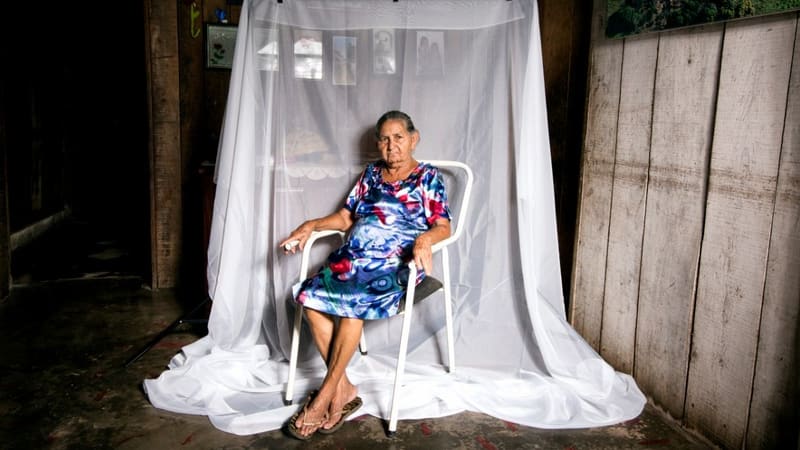 Museu da Imagem e do Som (MIS) inaugura duas exposições