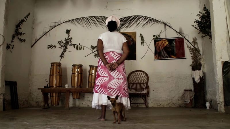 Programação do Cine Cultura tem estreias e mostra de filmes