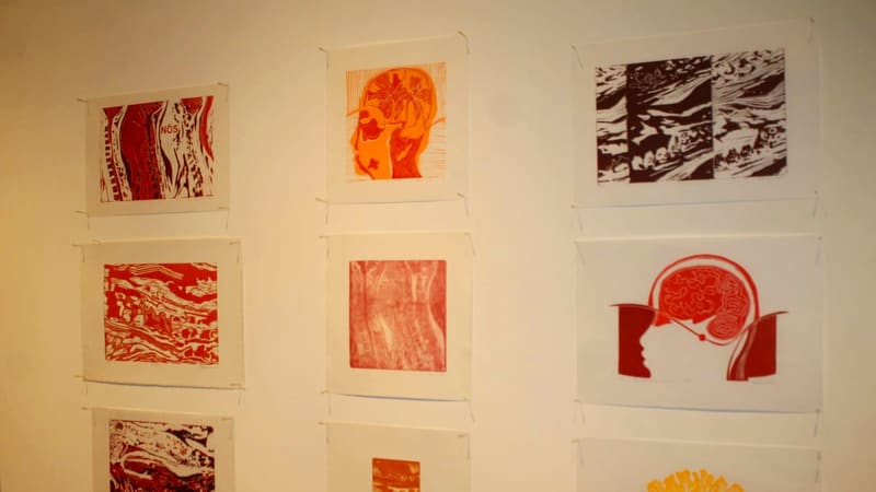 Vila Cultural Cora Coralina inaugura coletiva do Ateliê Livre de Gravura