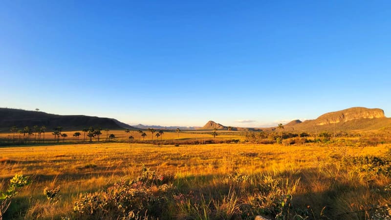 Jardim de Maytrea, na Chapada dos Veadeiros. Ao todo, cinco cidades da região recebem o Chapada Week | Foto: Carlos Freitas