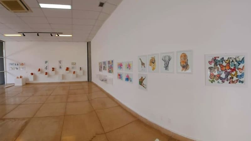 Vila Cultural Cora Coralina recebe exposição coletiva Água, papel e barro