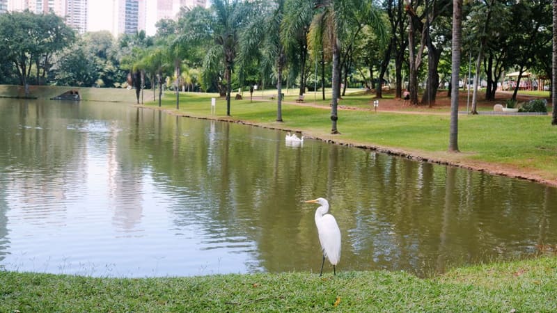 Parque Flamboyant, no Jardim Goiás, um dos locais que fazem o bairro ser único | Foto: Carla Falcão