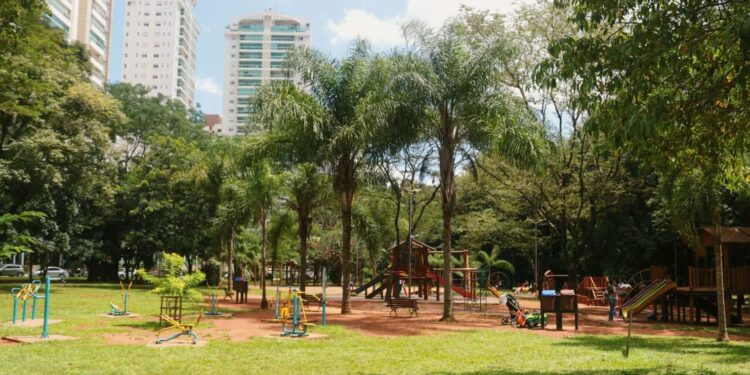 Ótimos programas para você fazer no Parque Flamboyant