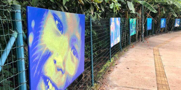 Bosque dos Buritis recebe exposição fotográfica "Corre Curumim!"