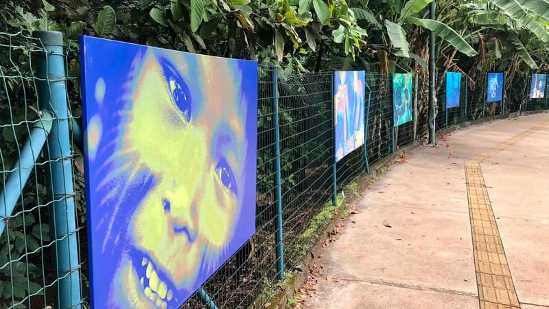 Quadros ficam na parte exterior do Bosque dos Buritis, no Setor Oeste | Divulgação