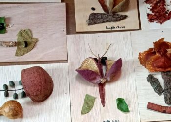 Palácio Conde dos Arcos recebe exposição sobre biomas brasileiros