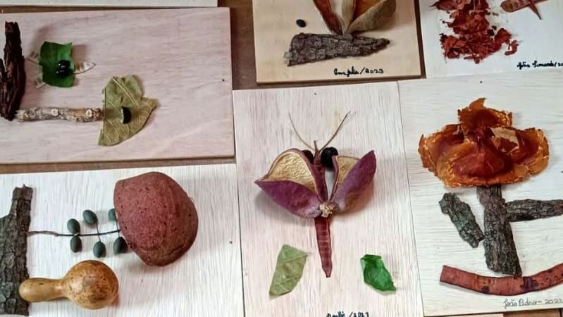 Palácio Conde dos Arcos recebe exposição sobre biomas brasileiros