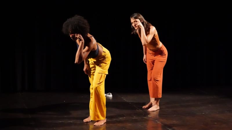 Espetáculos da Nalini Cia. de Dança chegam a Goiânia em 2023