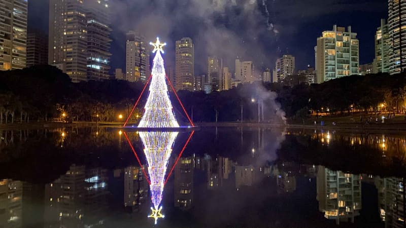 Árvore de Natal é feita com mini lâmpadas e mangueiras luminosas de LED, bastões de Snow LEDs, que simulam uma chuva de meteoros e lâmpadas Flash Strobe | Foto: Luciano Magalhães