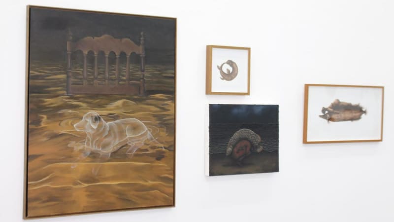 Exposição Abrir Horizontes tem catálogo lançado no Octo Marques