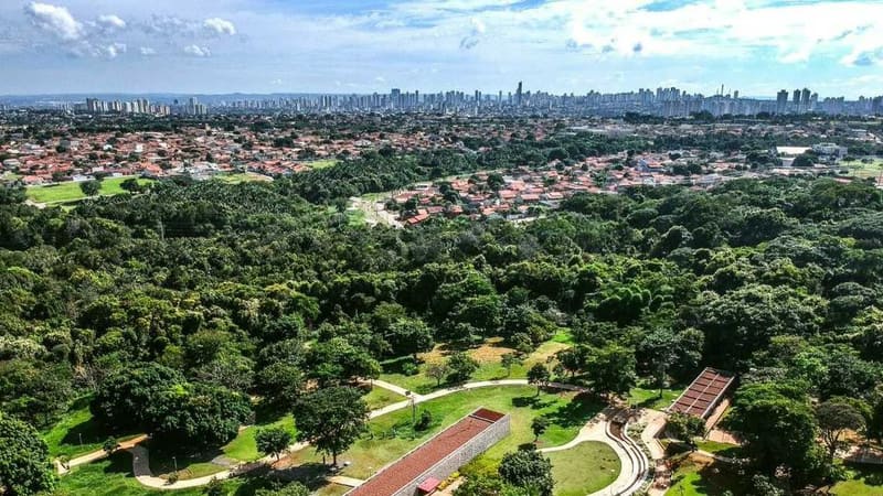 Plano de Arborização de Goiânia entra em vigor 17 anos após início de estudos