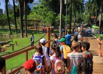 Mutirama e Zoológico são opções de lazer nas férias escolares